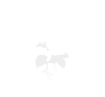 4th Edition of International Heart Congress